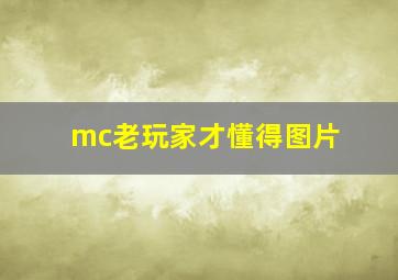 mc老玩家才懂得图片