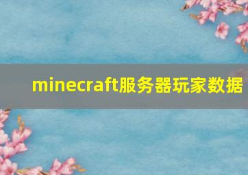 minecraft服务器玩家数据