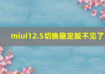 miui12.5切换稳定版不见了