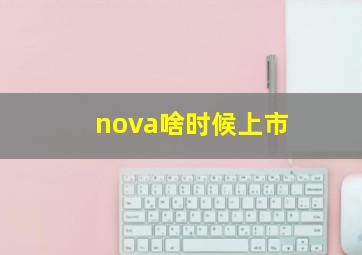 nova啥时候上市