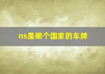 ns是哪个国家的车牌