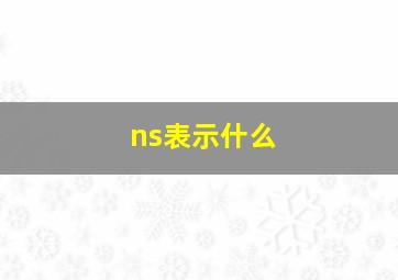 ns表示什么