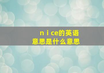 nⅰce的英语意思是什么意思