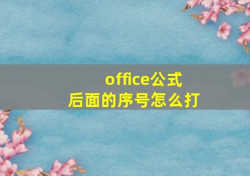 office公式后面的序号怎么打