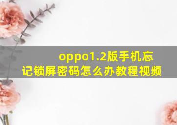 oppo1.2版手机忘记锁屏密码怎么办教程视频