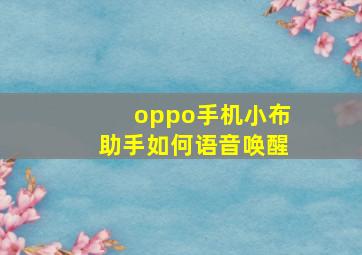 oppo手机小布助手如何语音唤醒