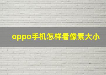 oppo手机怎样看像素大小