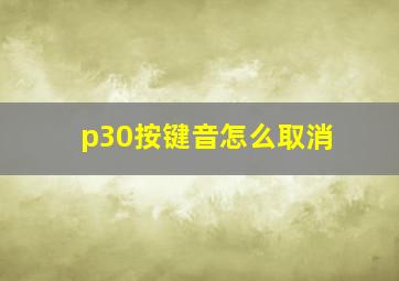 p30按键音怎么取消