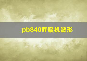 pb840呼吸机波形