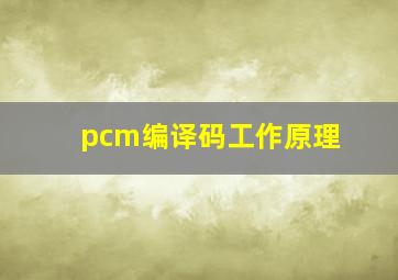 pcm编译码工作原理