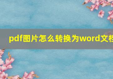 pdf图片怎么转换为word文档