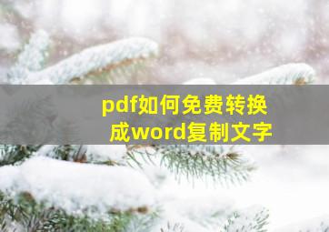 pdf如何免费转换成word复制文字