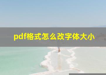 pdf格式怎么改字体大小