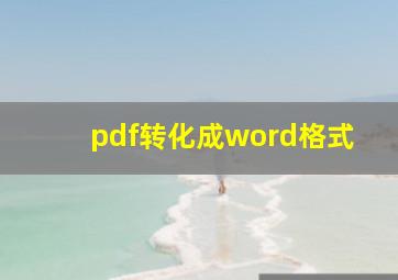 pdf转化成word格式