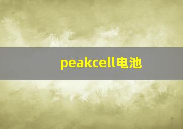 peakcell电池