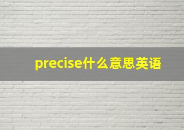 precise什么意思英语