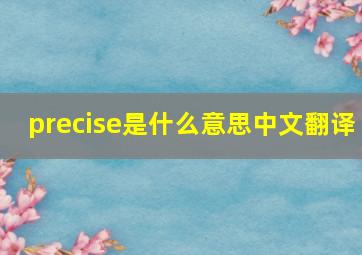 precise是什么意思中文翻译