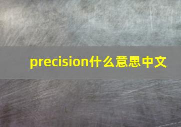 precision什么意思中文