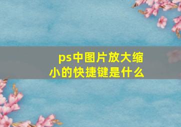 ps中图片放大缩小的快捷键是什么