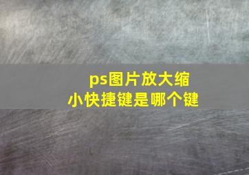 ps图片放大缩小快捷键是哪个键