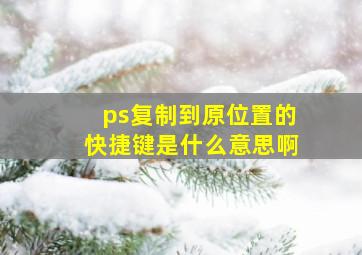 ps复制到原位置的快捷键是什么意思啊