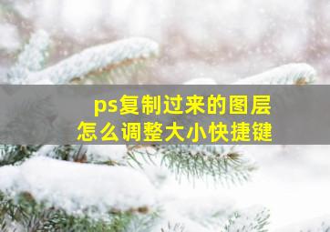 ps复制过来的图层怎么调整大小快捷键