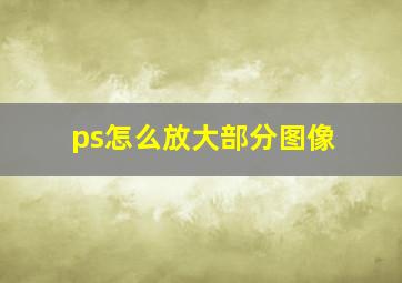 ps怎么放大部分图像