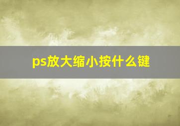 ps放大缩小按什么键