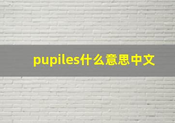 pupiles什么意思中文