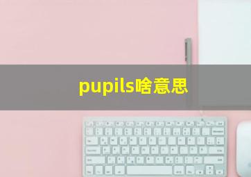 pupils啥意思