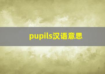 pupils汉语意思