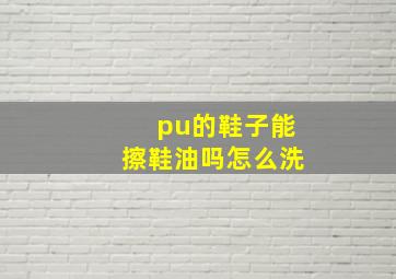 pu的鞋子能擦鞋油吗怎么洗