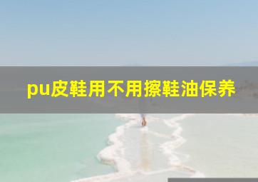 pu皮鞋用不用擦鞋油保养