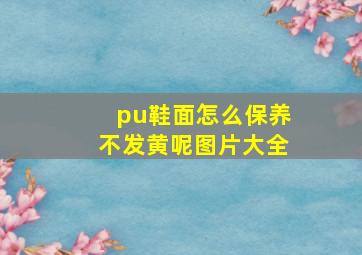 pu鞋面怎么保养不发黄呢图片大全