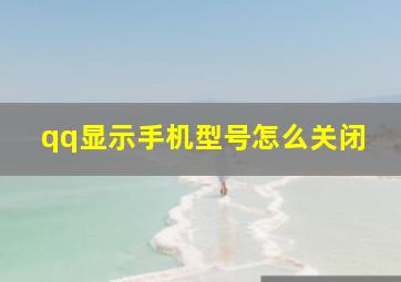 qq显示手机型号怎么关闭