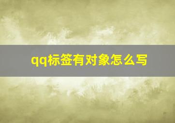 qq标签有对象怎么写