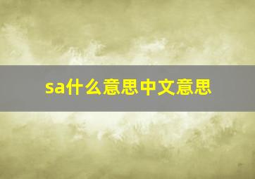 sa什么意思中文意思