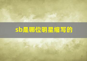 sb是哪位明星缩写的