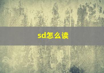 sd怎么读