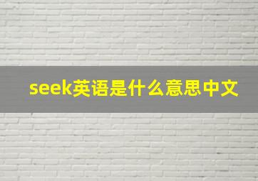 seek英语是什么意思中文