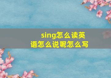 sing怎么读英语怎么说呢怎么写