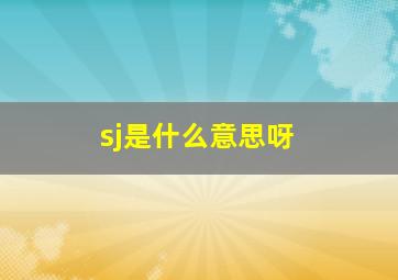 sj是什么意思呀