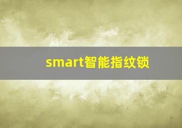 smart智能指纹锁