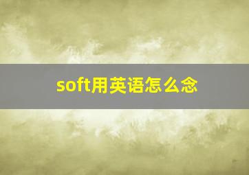 soft用英语怎么念