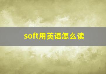 soft用英语怎么读