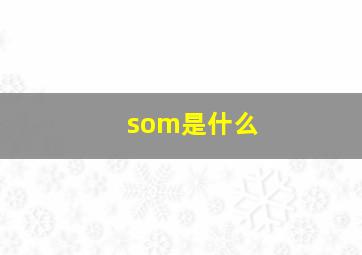 som是什么