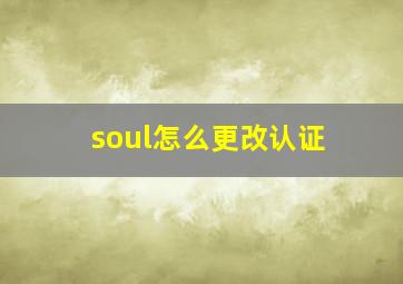 soul怎么更改认证