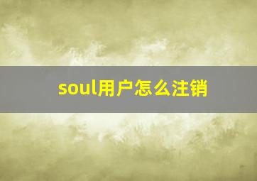 soul用户怎么注销