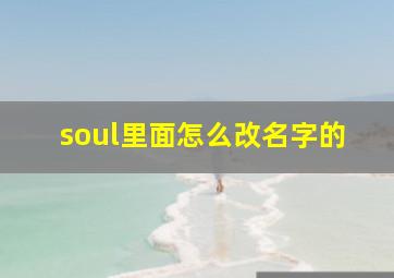 soul里面怎么改名字的