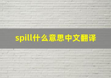 spill什么意思中文翻译